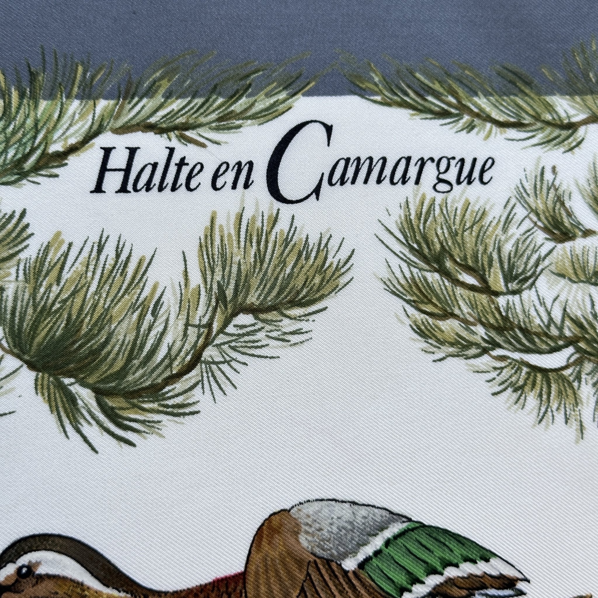 Halte en camargue - FOULARD HERMES 90 CM