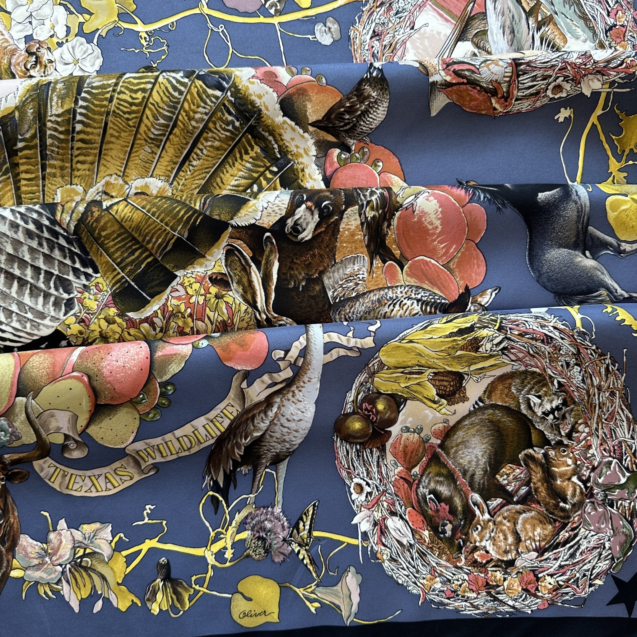 Faune et Flore du Texas - FOULARD HERMES 90 CM