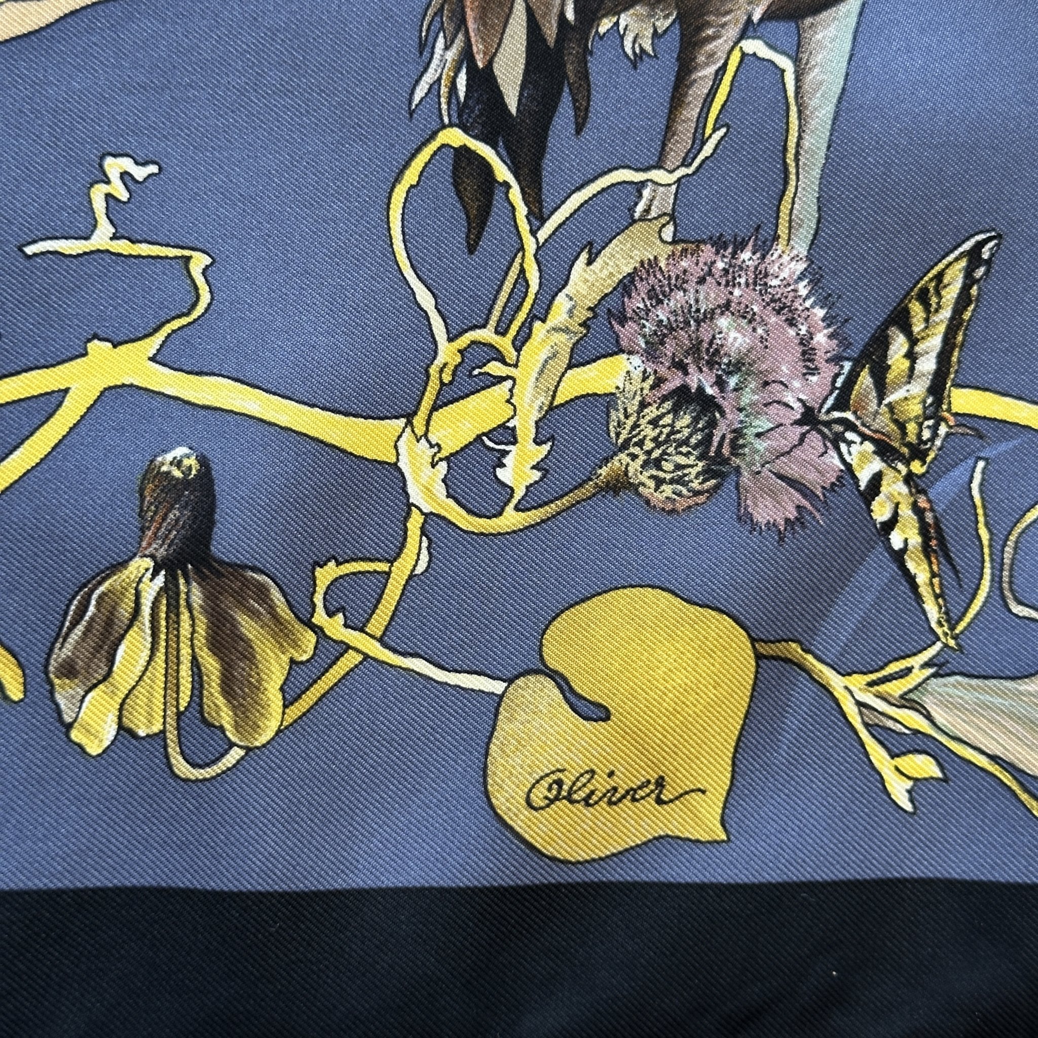 Faune et Flore du Texas - FOULARD HERMES 90 CM