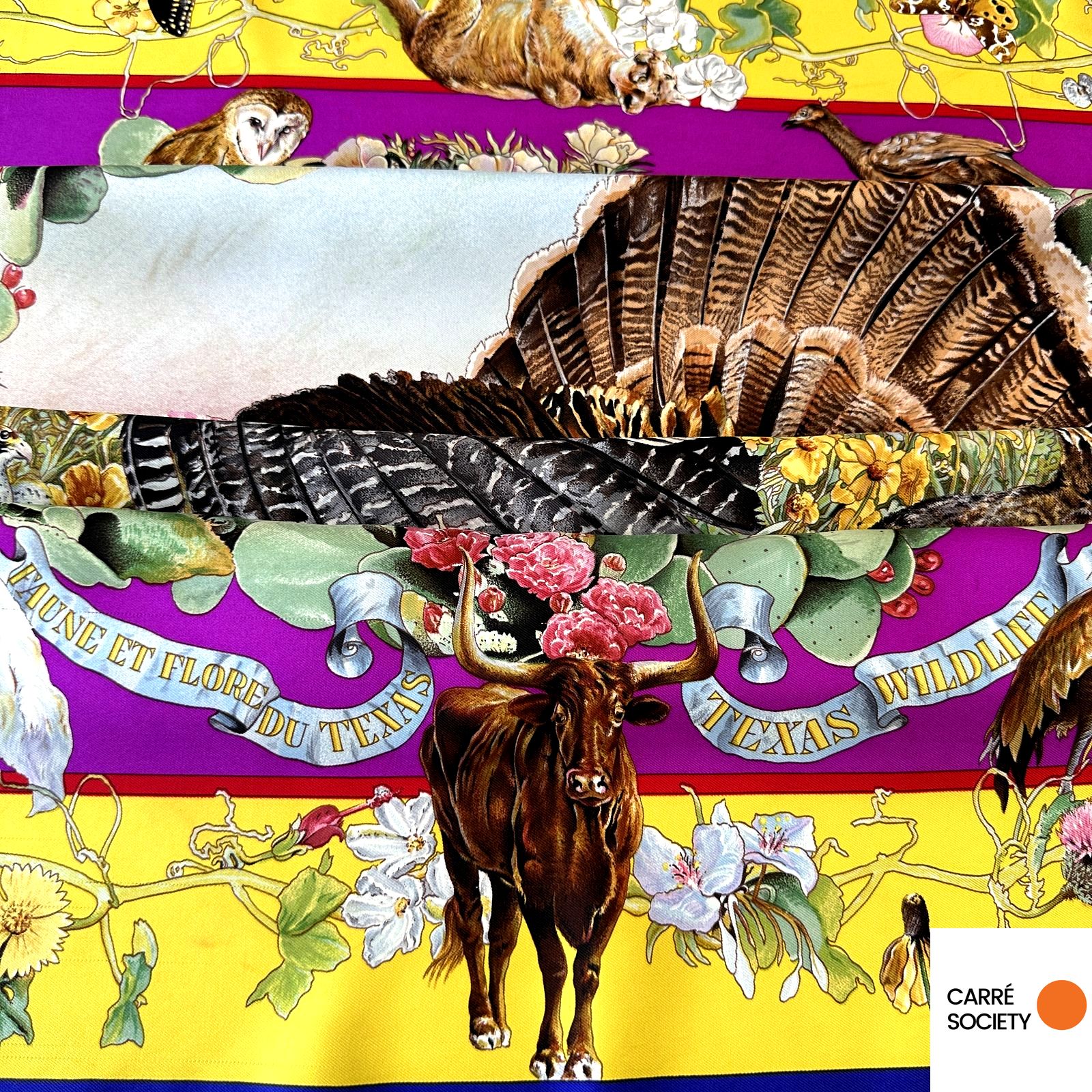 titre du carré carré Hermès Faune et Flore du Texas en français et anglais Texas wildlife