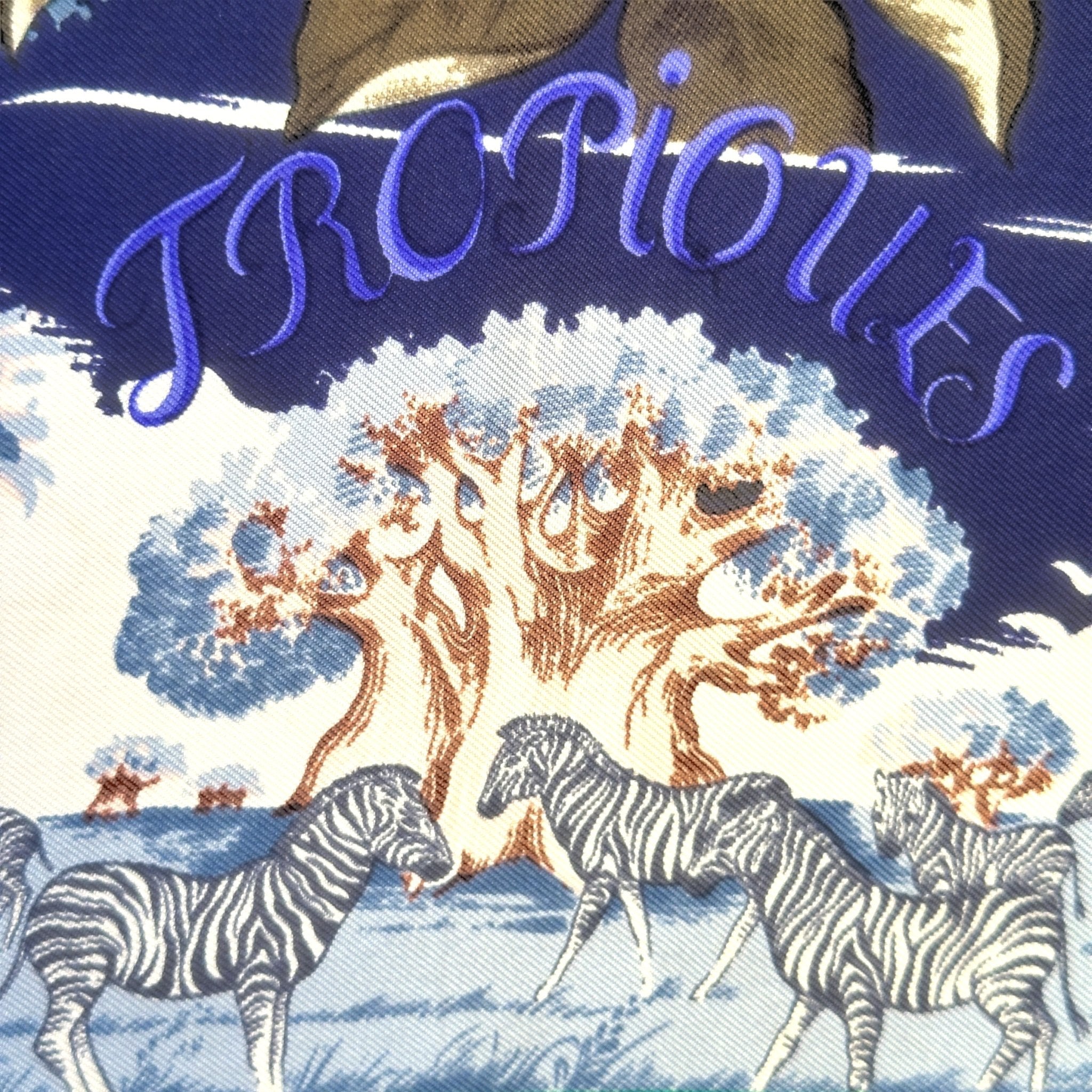 carre hermes tropiques detail de dessins de zebres