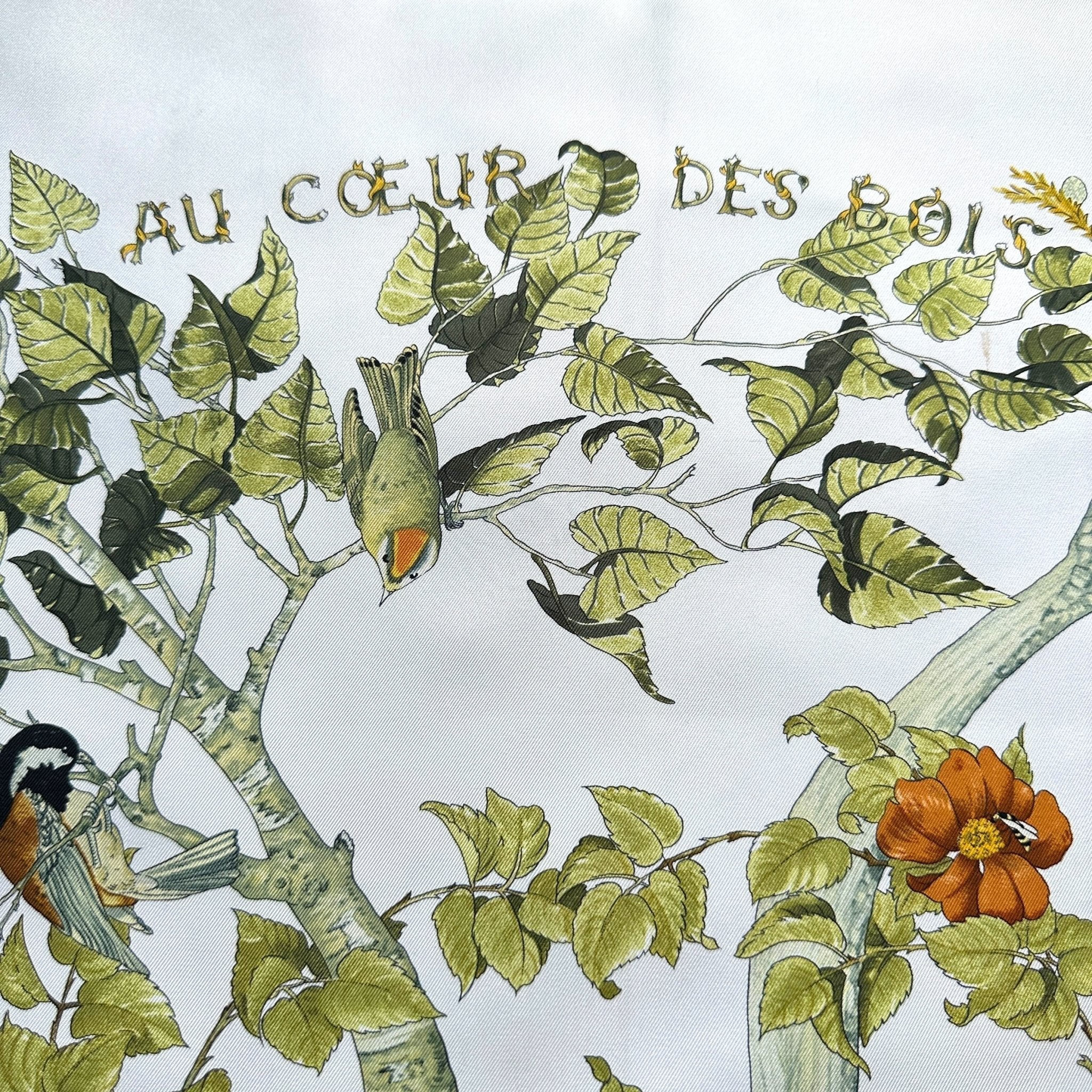 Nom du modèle "Au Cœur des Bois"